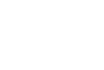 Wizi Logo